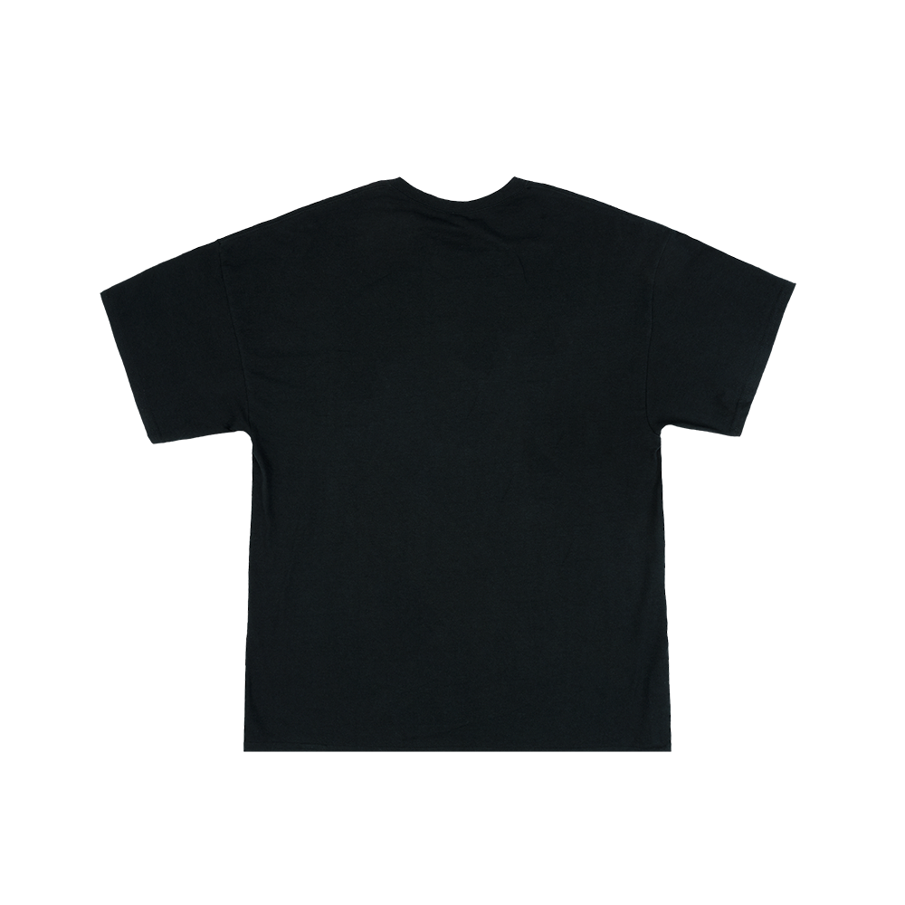Lady Gaga Art Pop Cover T-Shirt 288640
