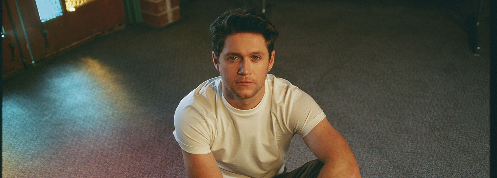Portrait of Niall Horan