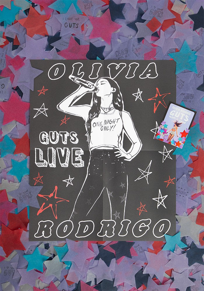 Olivia Rodrigo GUTS world tour book Buch 418440