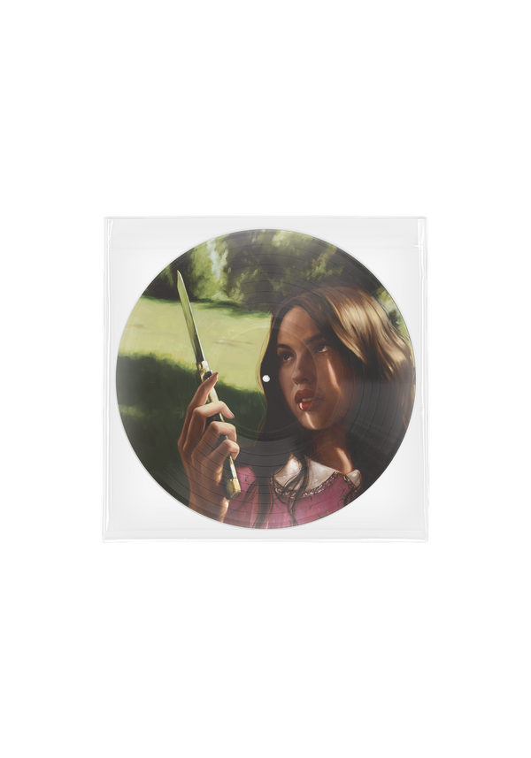 Olivia Rodrigo - you seem pretty sad for a girl so in love - exclusive 'carve our names' picture disc vinyl (picture disc)