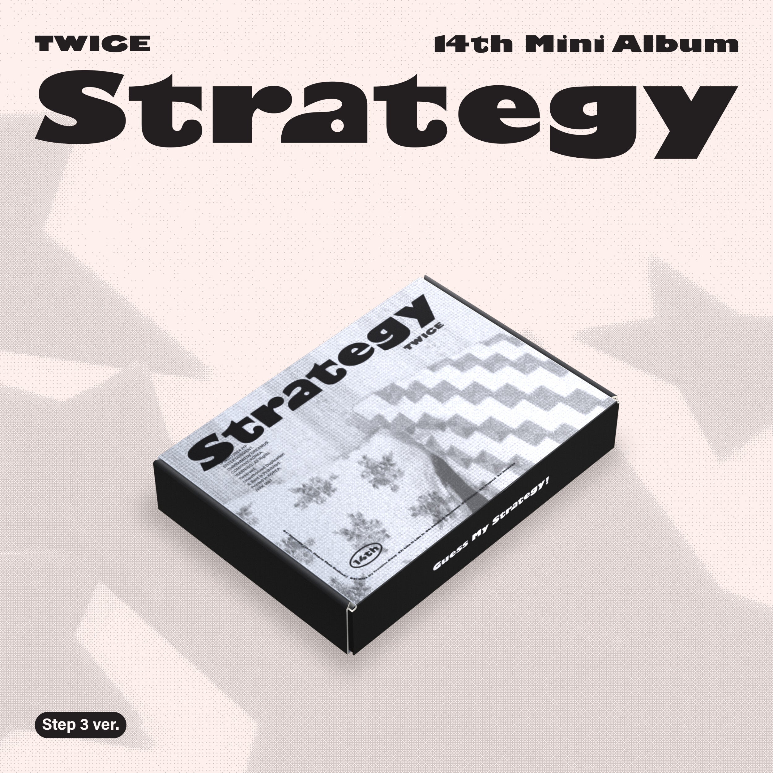 STRATEGY (Step 3 ver.)