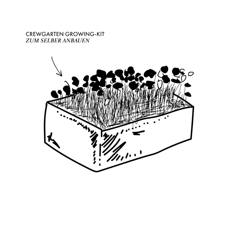 https://images.bravado.de/prod/product-assets/product-asset-data/wincent-weiss/wincent-weiss-d2c-tt/products/501114/web/378263/image-thumb__378263__3000x3000_original/Wincent-Weiss_Irgendwo-Ankommen_Ltd-Fanbox_s501114_o1793624_a378263_v9567506.90431404.png