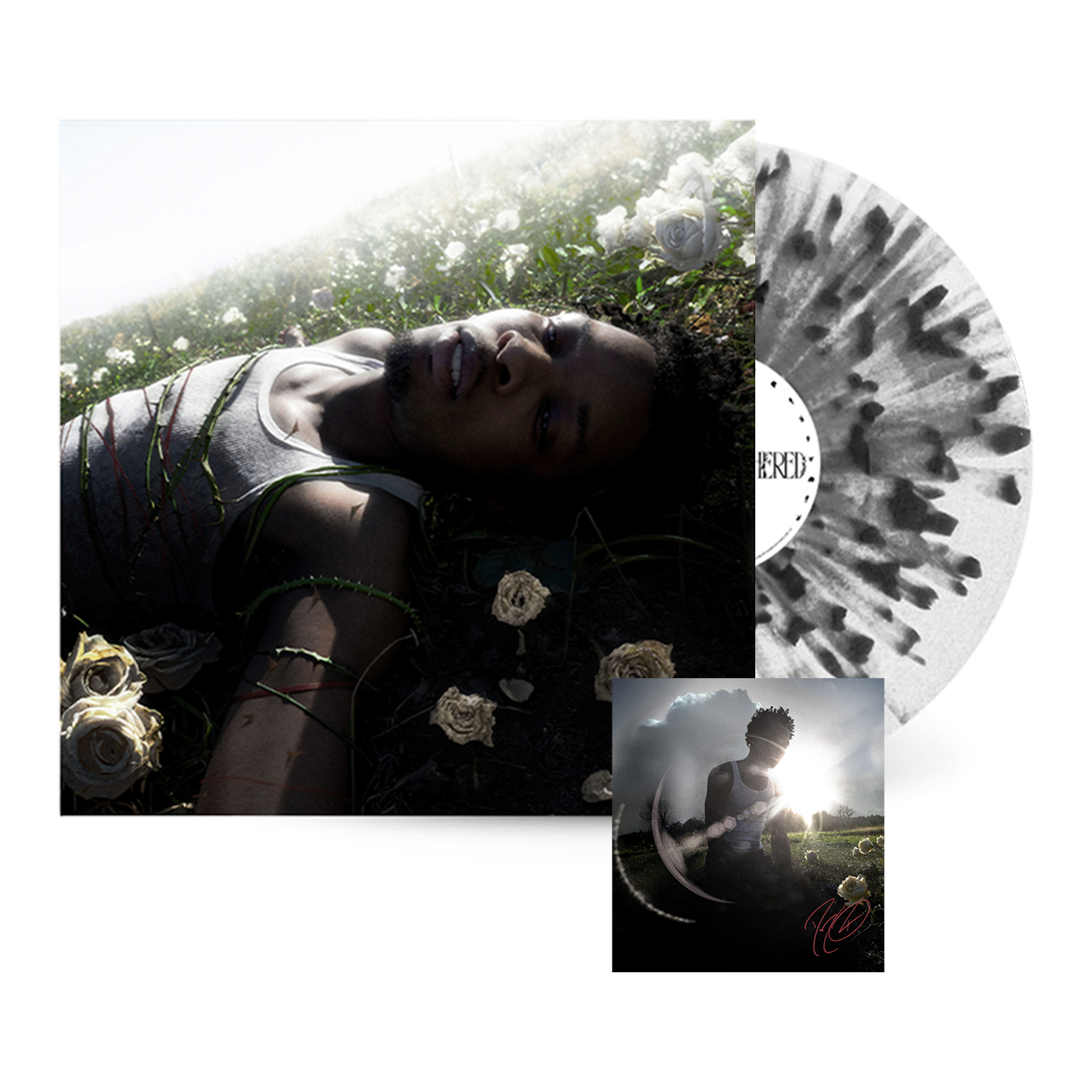 https://images.bravado.de/prod/product-assets/d4vd/products/514139/web/532757/image-thumb__532757__3000x3000_original/d4vd_WITHERED_Exclusive-Vinyl-White-with-Black-Splatter-Signed-Art-Card_s514139_o6593107_a532757_v13097955.22ed4ec7.png