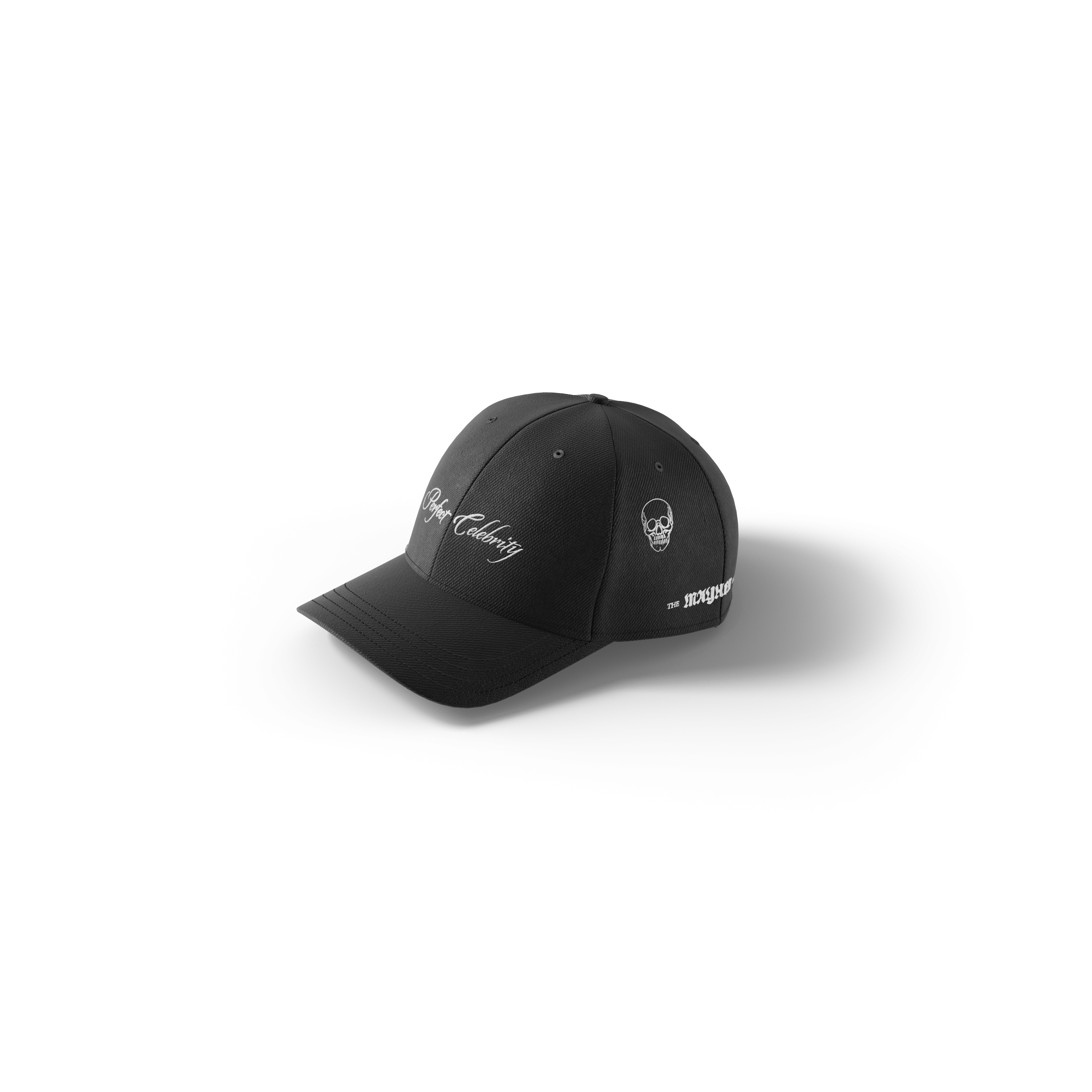 Lady Gaga Perfect Celebrity Cap Cap 415012